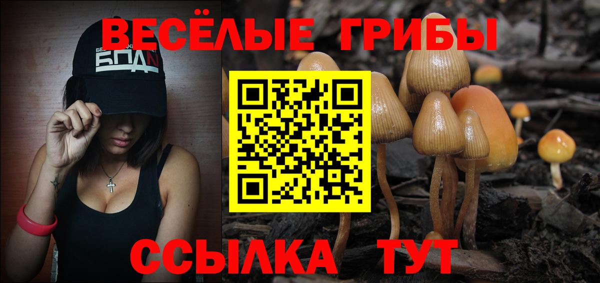Псилоцибиновые грибы Psilocybine cubensis  купить наркотики цена  Псилоцибиновые грибы Psilocybe  Калуга  Вход с VPN 